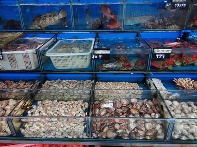 水產(chǎn)品之河海鮮 營養(yǎng)價值與消費指南